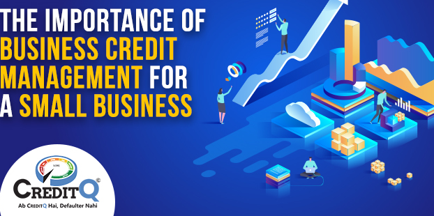 Benefits of Using CreditGo for Small Business Transactions